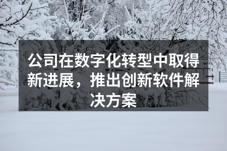 公司在数字化转型中取得新进展，推出创新软