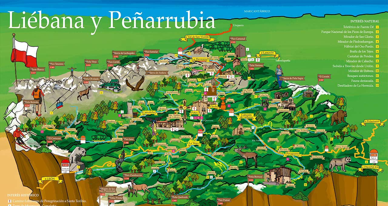 Diseño e ilustración de mapa de la comarca de Liébana y Peñarrubia